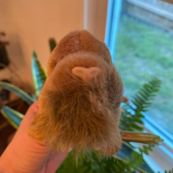 Ty Beanie Baby -  Paul the Walrus - Style Number #04248 - Picture 2 of 6